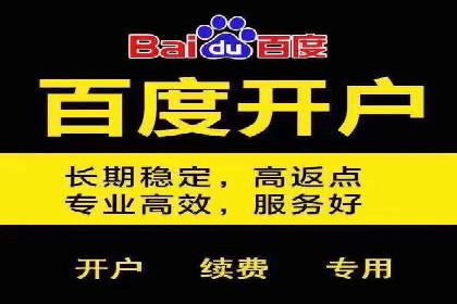 深度解析：百度推广的五大成功案例